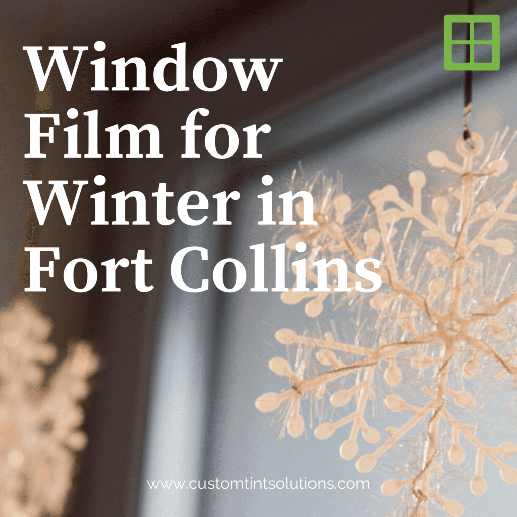 window film winter fort collins