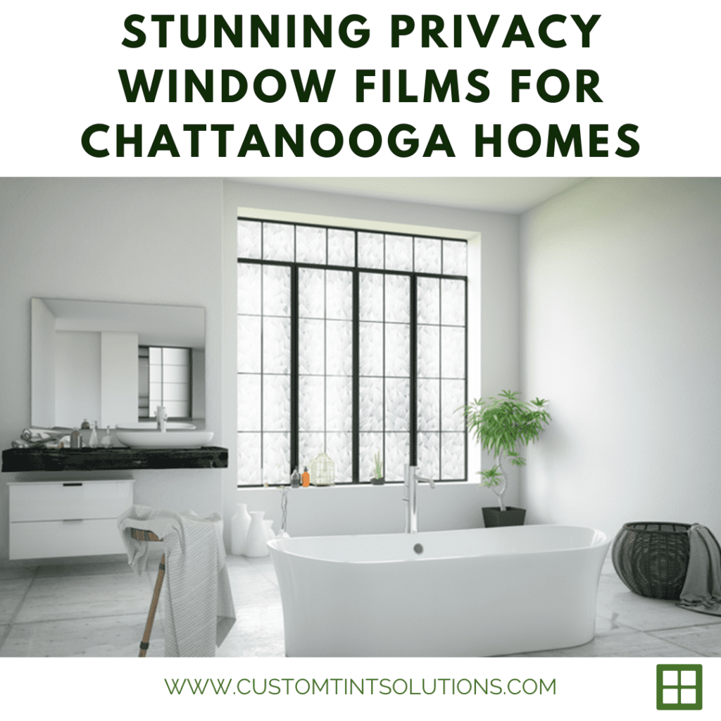 privacy window films chattanooga